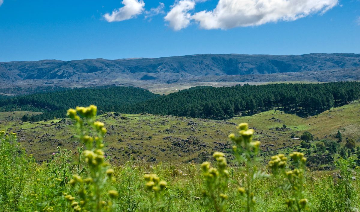 Las sierras de los Comechingones desde la Posada Loma del Tigre
