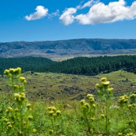 Las sierras de los Comechingones desde la Posada Loma del Tigre