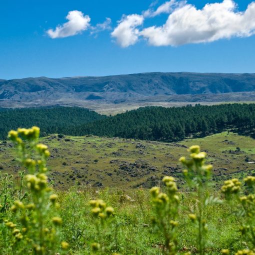 Las sierras de los Comechingones desde la Posada Loma del Tigre