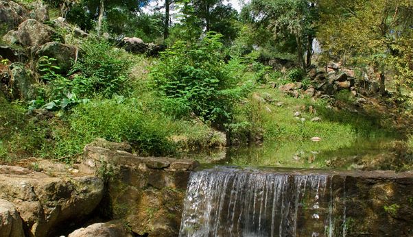 Cascada en la Posada Loma del Tigre