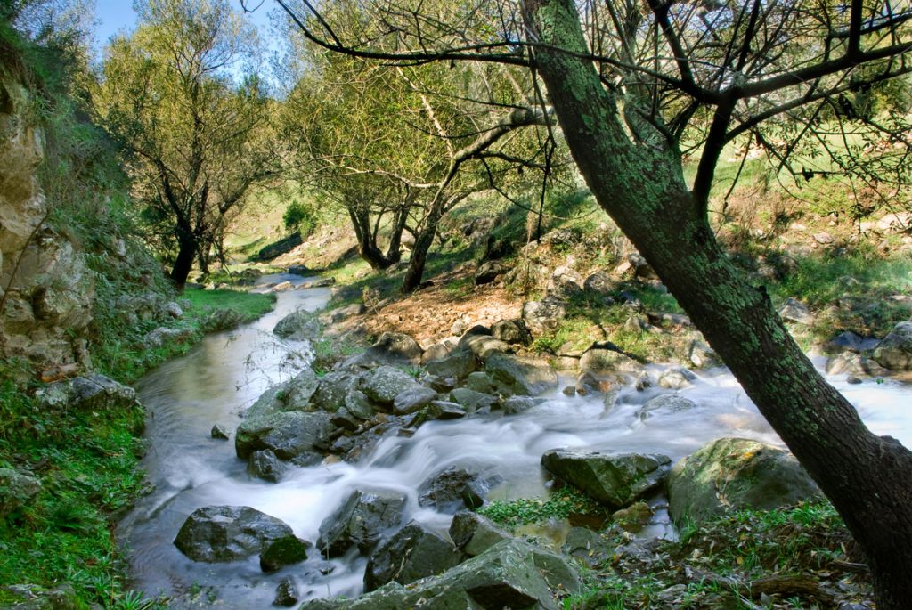 Arroyo en el bosque de la Posada Loma del Tigre
