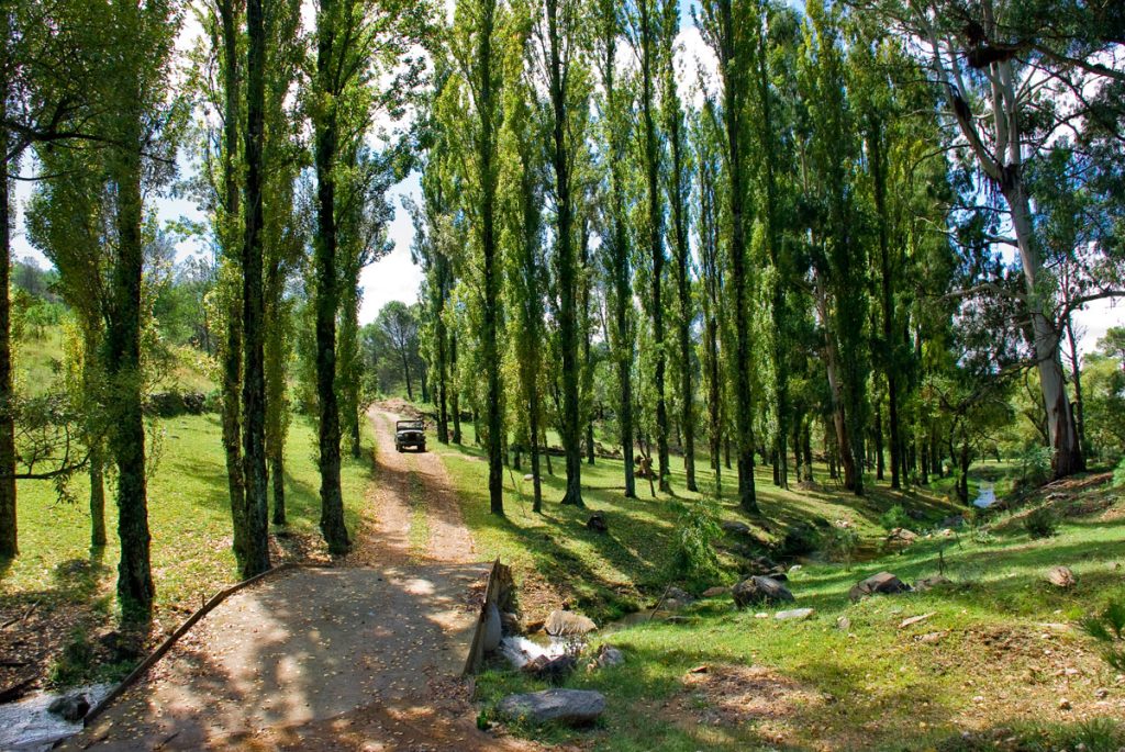 Caminos arbolados en la Posada Loma del Tigre