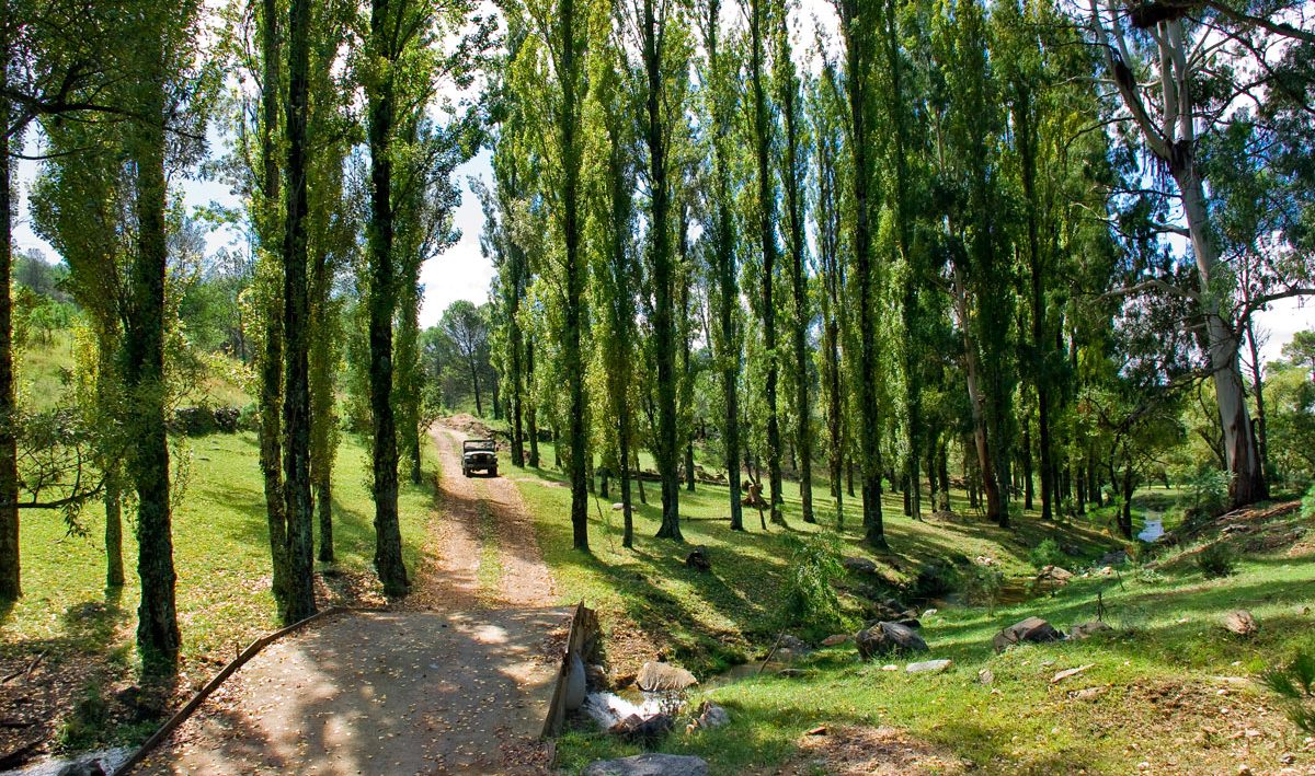 Caminos arbolados en la Posada Loma del Tigre